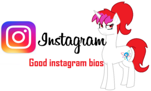 Bio For Instagram With Funny, Good, Cool, Cute, Clever