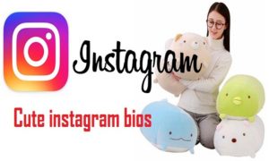 Bio For Instagram With Funny, Good, Cool, Cute, Clever